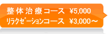 整体コースと料金